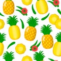 Vector cartoon seamless pattern with Ananas comosus or pineapple exotic fruits, flowers and leafs on white background