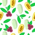 Vector cartoon seamless pattern with Asimina triloba or Papaw exotic fruits, flowers and leafs on white background