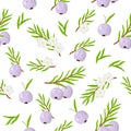 Vector cartoon seamless pattern with Austromyrtus dulcis or midyim exotic fruits, flowers and leafs on white background