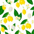 Vector cartoon seamless pattern with bacupari exotic fruits, flowers and leafs on white background Royalty Free Stock Photo