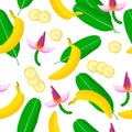 Vector cartoon seamless pattern with Banana exotic fruits, flowers and leafs on white background Royalty Free Stock Photo