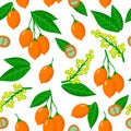 Vector cartoon seamless pattern with Bunchosia argentea fruit exotic fruits, flowers and leafs on white background