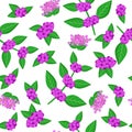 Vector cartoon seamless pattern with Callicarpa or beautyberry exotic fruits, flowers and leafs on white background
