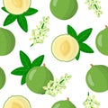 Vector cartoon seamless pattern with Casimiroa edulis or white sapota exotic fruits flowers and leaf on white background