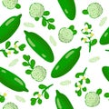 Vector cartoon seamless pattern with Australian finger caviar lime exotic fruits, flowers and leafs on white background Royalty Free Stock Photo