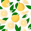 Vector cartoon seamless pattern with Citrus Sweetie exotic fruits, flowers and leafs on white background