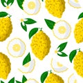 Vector cartoon seamless pattern with Citrus medica or Citron exotic fruits, flowers and leafs on white background