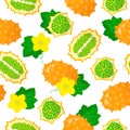 Vector cartoon seamless pattern with Cucumis metuliferus or Kiwano exotic fruits, flowers and leafs on white background