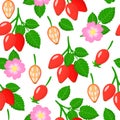 Vector cartoon seamless pattern with Dogrose or Rosa rubiginosa exotic fruits, flowers and leafs on white background