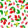 Vector cartoon seamless pattern with Dogwood exotic fruits, flowers and leafs on white background