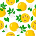 Vector cartoon seamless pattern with Eugenia stipitata or Araza exotic fruits, flowers and leafs on white background