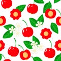 Vector cartoon seamless pattern with Pitanga or Suriname cherry exotic fruits, flowers and leafs on white background