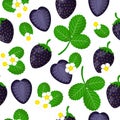 Vector cartoon seamless pattern with Black strawberries exotic fruits, flowers and leafs on white background