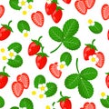 Vector cartoon seamless pattern with Fragaria vesca or wild strawberry exotic fruits flower and leaf on white background Royalty Free Stock Photo