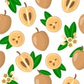 Vector cartoon seamless pattern with Manilkara zapota or Sapodilla exotic fruits, flowers and leafs on white background Royalty Free Stock Photo