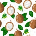 Vector cartoon seamless pattern with marang exotic fruits, flowers and leafs on white background Royalty Free Stock Photo