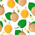 Vector cartoon seamless pattern with Matisia cordata or Chupa-chupa exotic fruits, flowers and leafs on white background