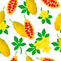 Vector cartoon seamless pattern with Momordica or bitter melon exotic fruits, flowers and leafs on white background