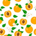 Vector cartoon seamless pattern with Prunus armeniaca or Apricot exotic fruits, flowers and leafs on white background