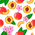 Vector cartoon seamless pattern with Prunus persica or Nectarine exotic fruits, flowers and leafs on white background