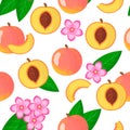 Vector cartoon seamless pattern with Prunus persica or Peach exotic fruits, flowers and leafs on white background