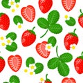 Vector cartoon seamless pattern with red garden Strawberry exotic fruits, flowers and leafs on white background