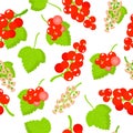 Vector cartoon seamless pattern with Ribes rubrum or Redcurrant exotic fruits, flowers and leafs on white background