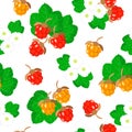 Vector cartoon seamless pattern with Rubus chamaemorus or cloudberry exotic fruits flowers and leafs on white background