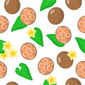 Vector cartoon seamless pattern with Siraitia grosvenorii or Arhat exotic fruits, flowers and leafs on white background