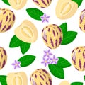 Vector cartoon seamless pattern with Solanum muricatum or Pepino exotic fruits, flowers and leafs on white background