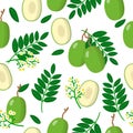 Vector cartoon seamless pattern with Spondias dulcis or Ambarella exotic fruits, flowers and leafs on white background