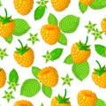 Vector cartoon seamless pattern with Yellow Raspberries exotic fruits, flowers and leafs on white background