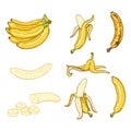 Vector Cartoon Set of Banana Illustrations