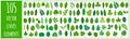 Vector cartoon set of illustrations with different green leaves of plants and trees isolated on white background Royalty Free Stock Photo