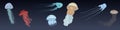 Vector Cartoon Set of Jellyfishes