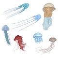 Vector Cartoon Set of Jellyfishes