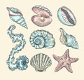 Vector cartoon set with seashells, pearl, seaweed and starfish. Vector collection in sketch style for your design. Isolated on