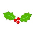 Christmas holly leaves Royalty Free Stock Photo