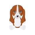 Vector cartoon sitting dog of Basset Hound breed