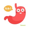 Vector cartoon stomach with face.