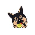 Vector cartoon style drawing of a playful puppy playing with a tennis ball.Australian shepherd cartoon. German Shepherd. Royalty Free Stock Photo