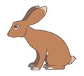 Vector cartoon style drawing of a sitting brown rabbit