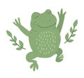 Vector cartoon style flat funny frog with twigs isolated on white background. Cute illustration of woodland swamp animal. Royalty Free Stock Photo