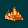 Vector cartoon style illustration of bonfire.Burning woodpile.