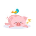 Sleeping pink pig