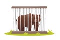 Sad bear in zoo cage