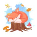 Vector cartoon style illustration of sleeping fox. Icon for web. Isolated on white background