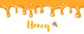 Seamless repeatable dripping honey.