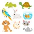 Set of home animal pet Royalty Free Stock Photo