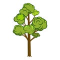 Vector Cartoon tree with nice fluffy crown for Park, Forest and others landscape scene. Cartoon tree vector props illustration